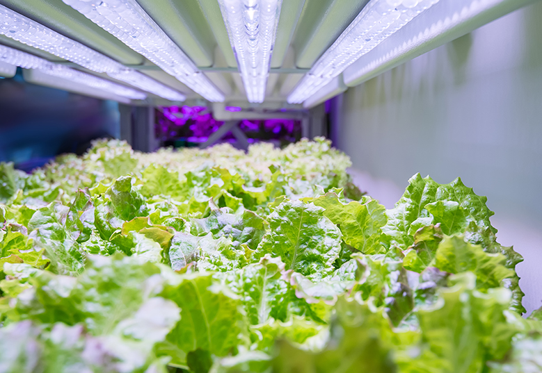 非视觉照明应用