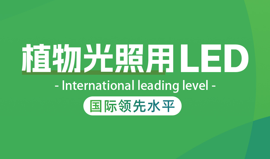 15vip太阳集团植物照明LED：高光量子效率驱动农业现代化与节能